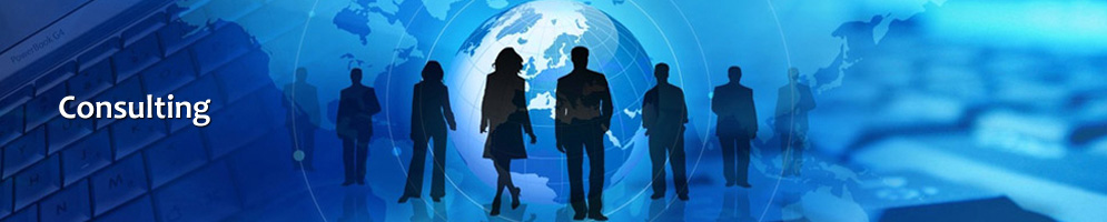 Skyes Corporate Solutions Corporate Consulting Image